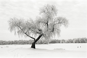 From the series «Winter Perspectives». Abalak, Russia