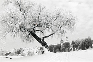 From the series «Winter Perspectives». Abalak, Russia