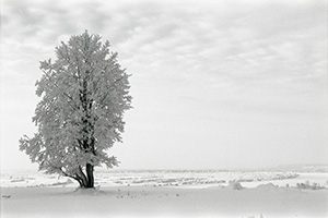 From the series «Winter Perspectives». Abalak, Russia